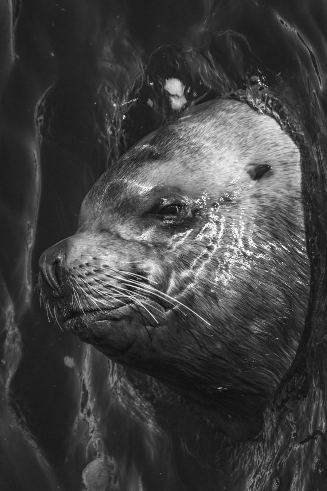 Photograph by Александр Васильев