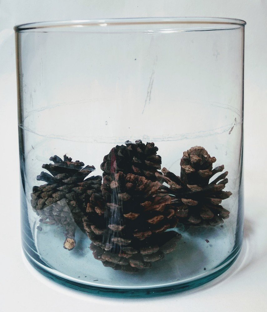 Asegurados