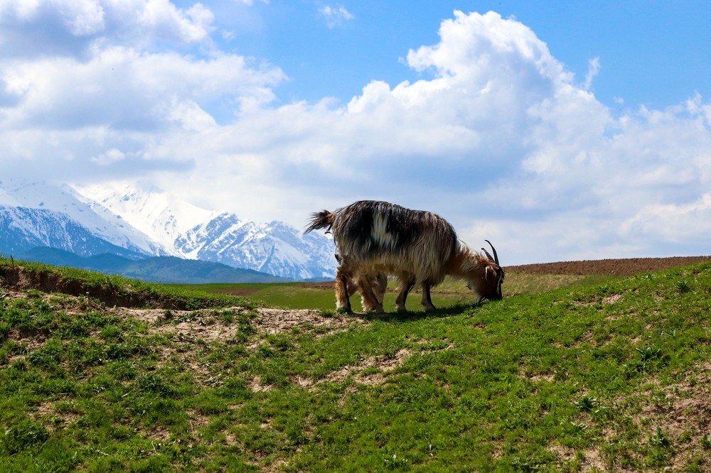 Photograph by Артём Кушнерюк