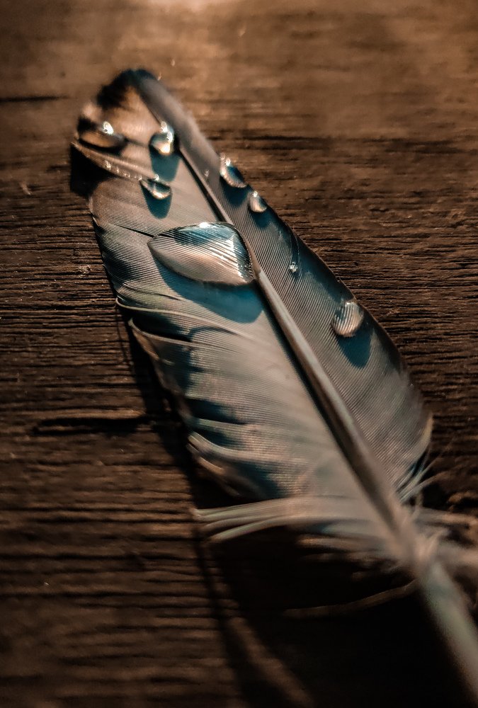 Photograph by Sarvesh Nagar