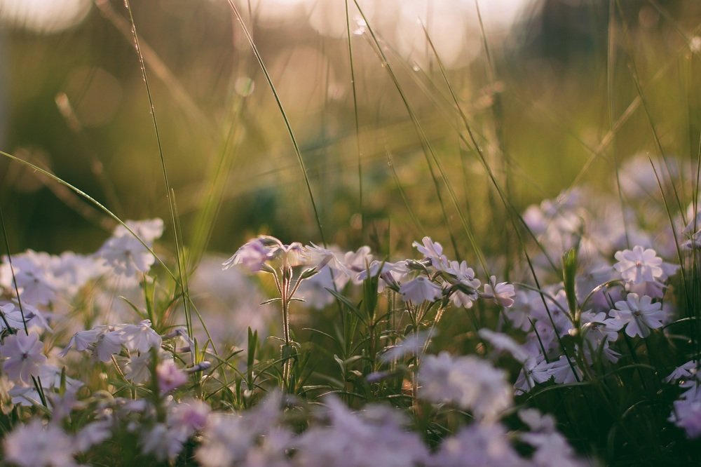 Photograph by Екатерина Безлепкина