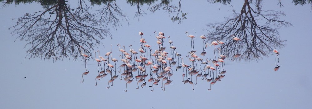 Photograph by Amit Brahmbhatt