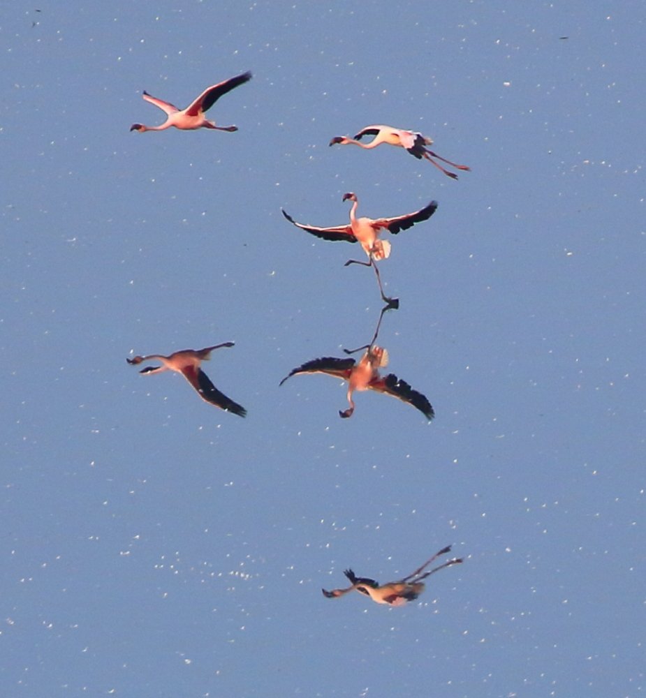 Photograph by Amit Brahmbhatt