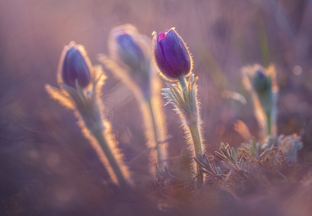 Photograph by Наталия Деркач