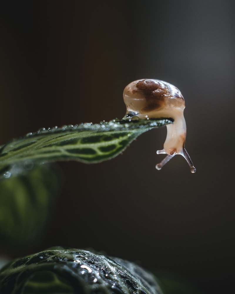 Photograph by Динара Зуйкова