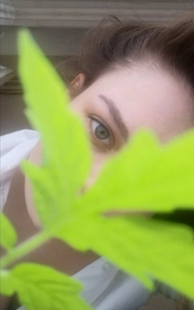 Photograph by Дарья Желудкова