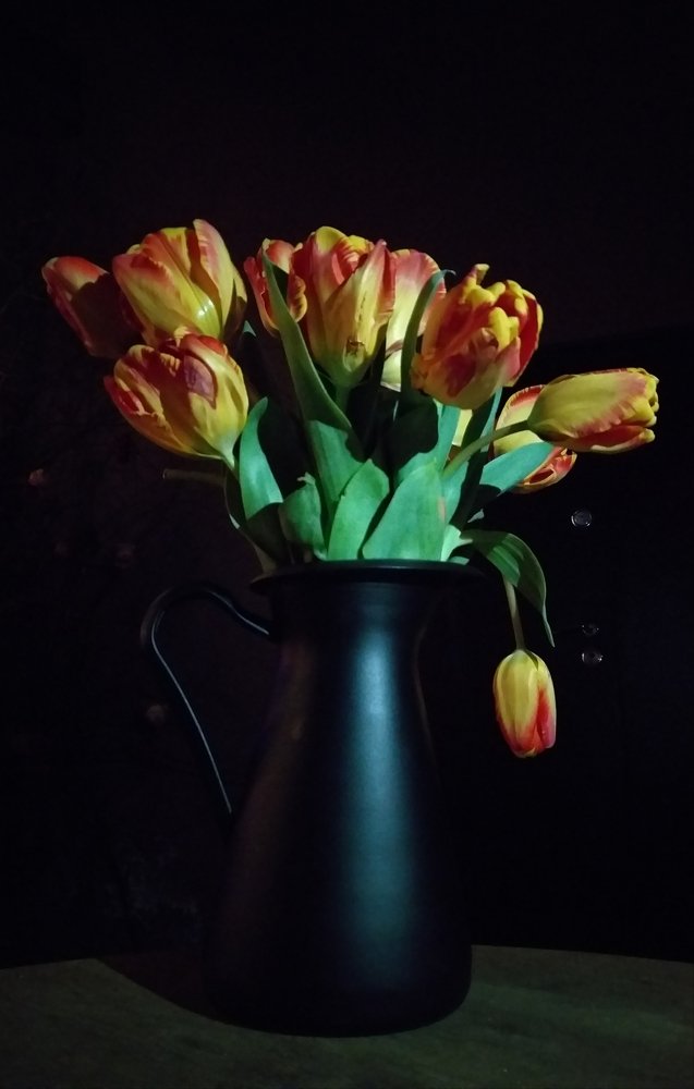 Photograph by Aliaksadr