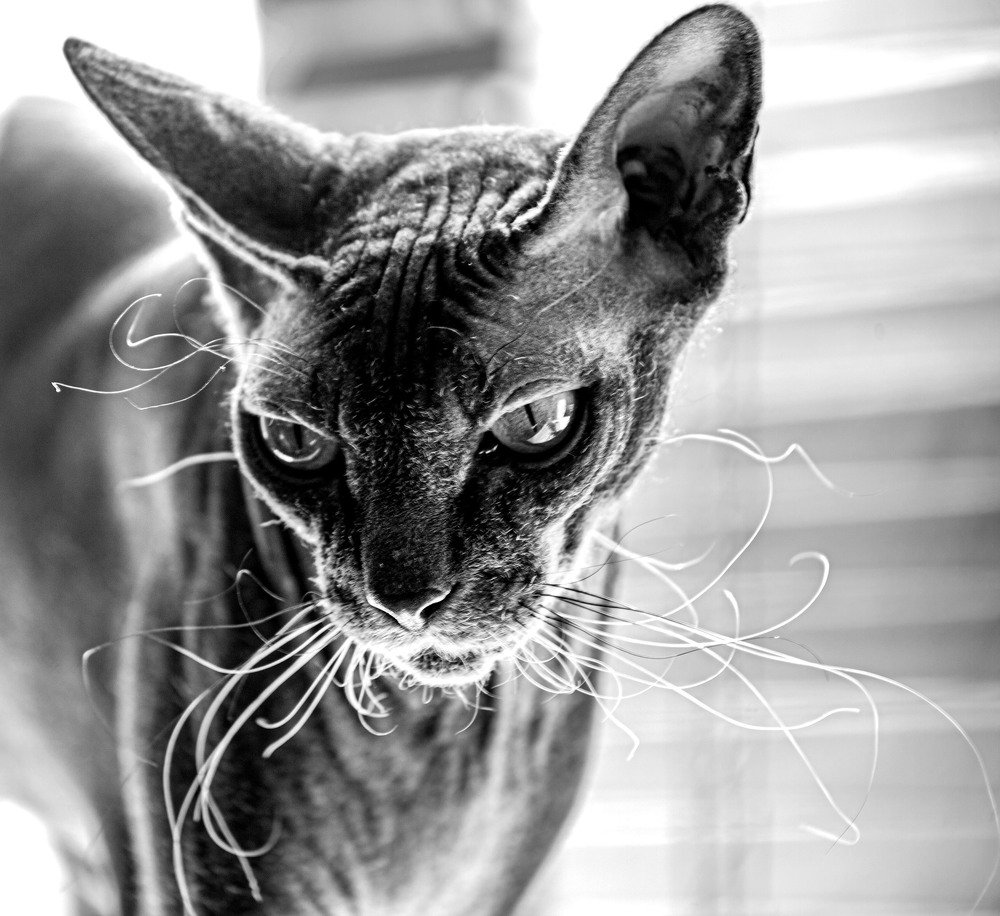 Photograph by Илья Кондрахин