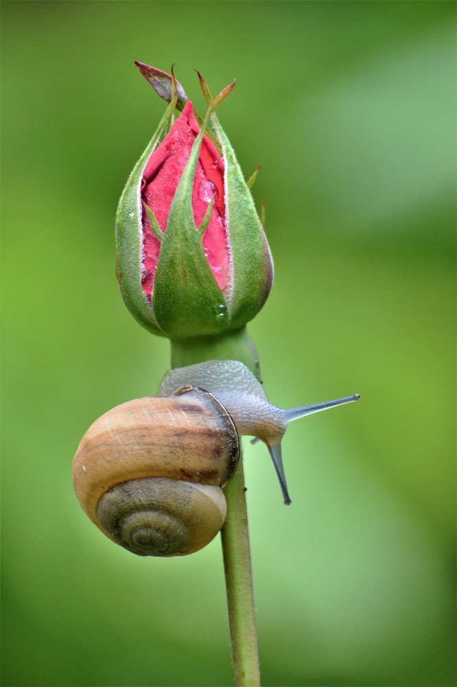 Photograph by Odysseas Christofides