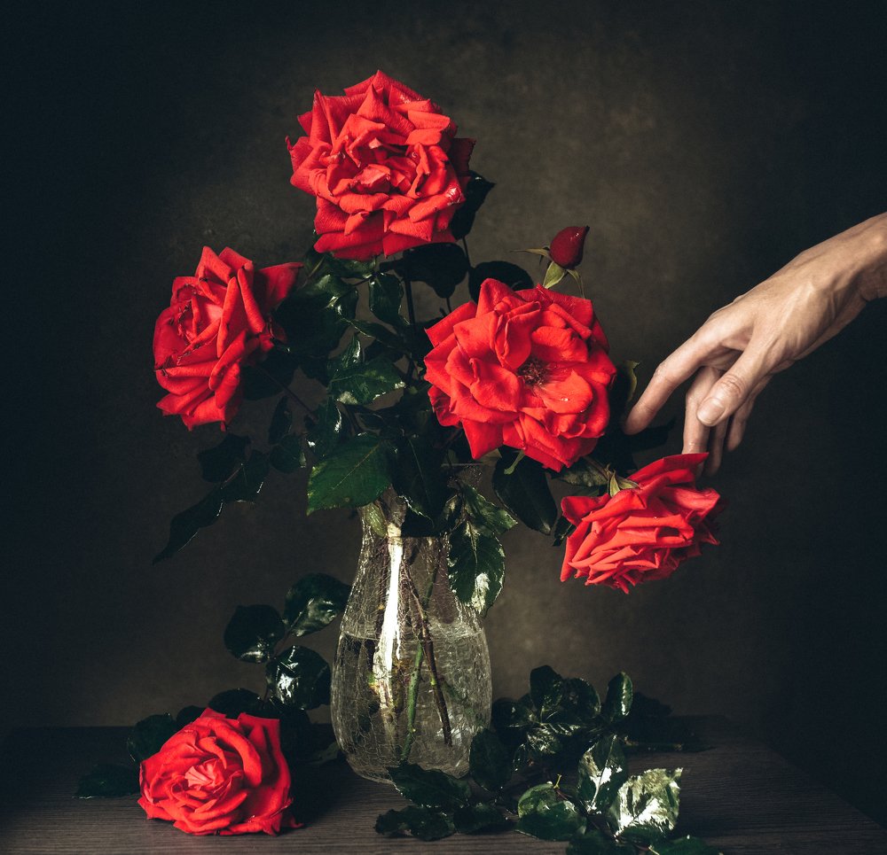 Photograph by Анна Кубашева