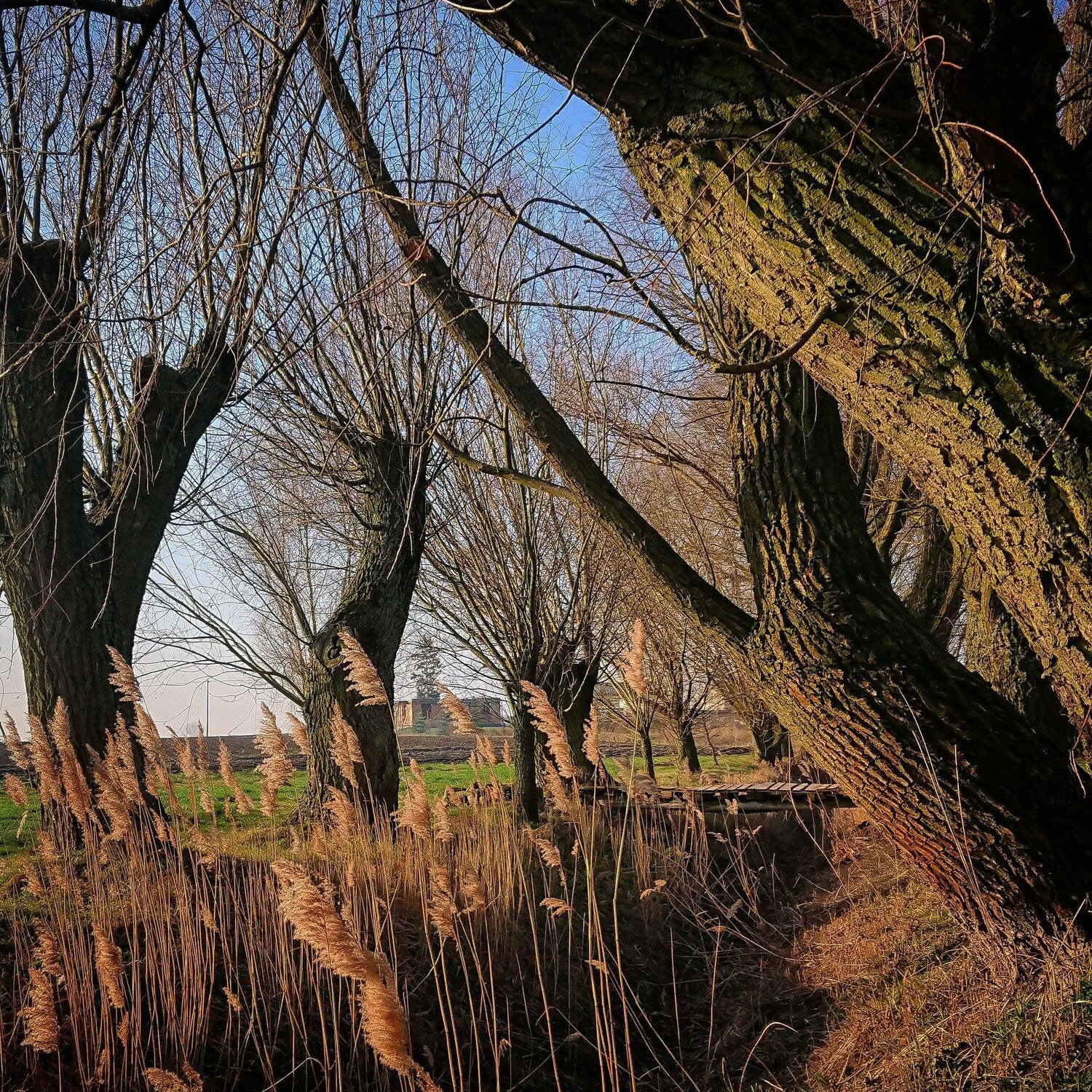 Photo #4555048