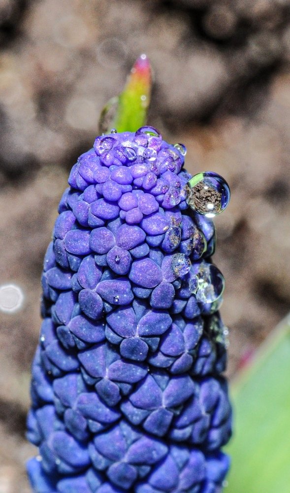 Photograph by Дмитрий Балатский