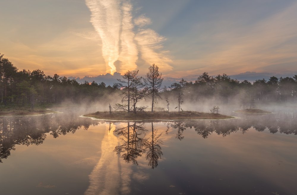 Photograph by Элвис Антсон