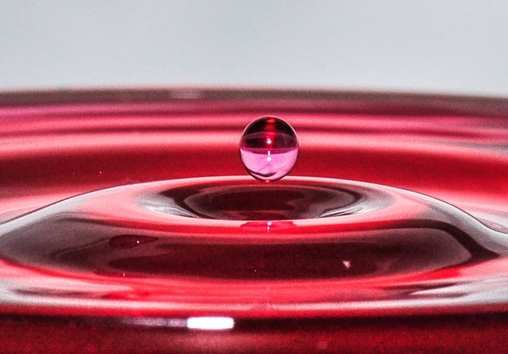 Photograph by Дмитрий Балатский