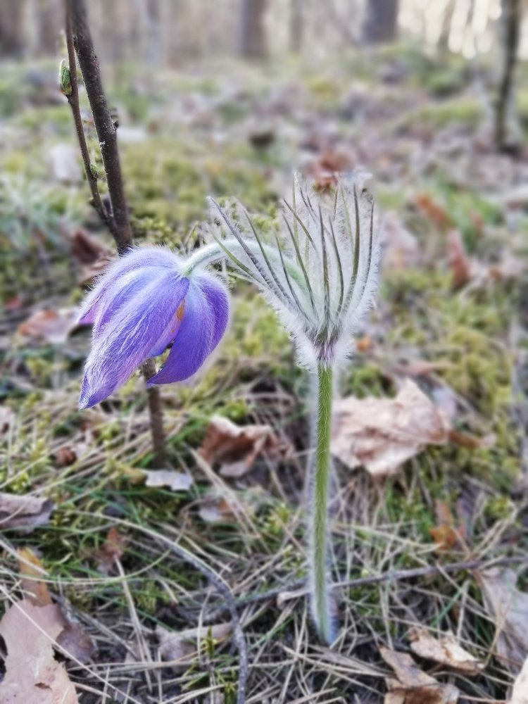 Фотография автора Алёна Лукачёва