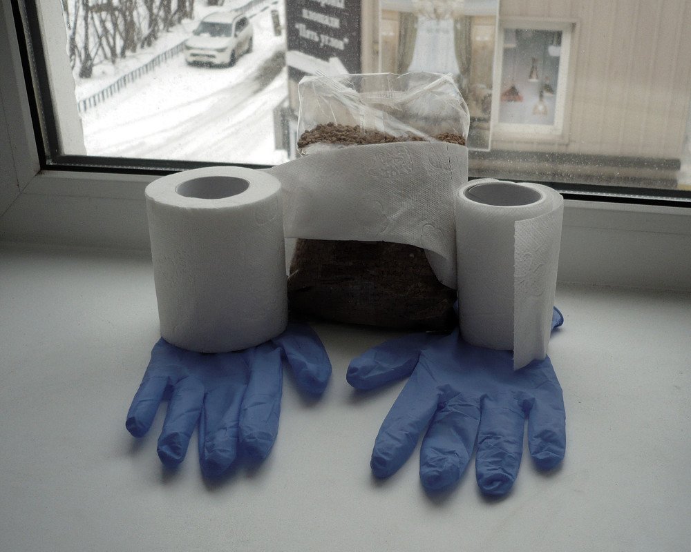 Без комментариев