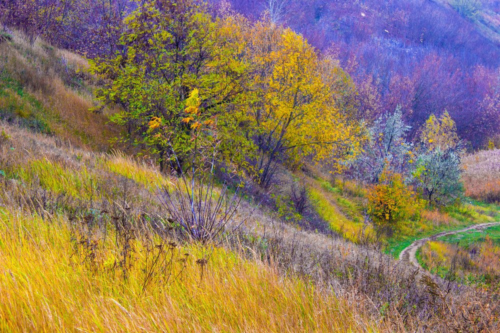 Photograph by Евгений Домовой