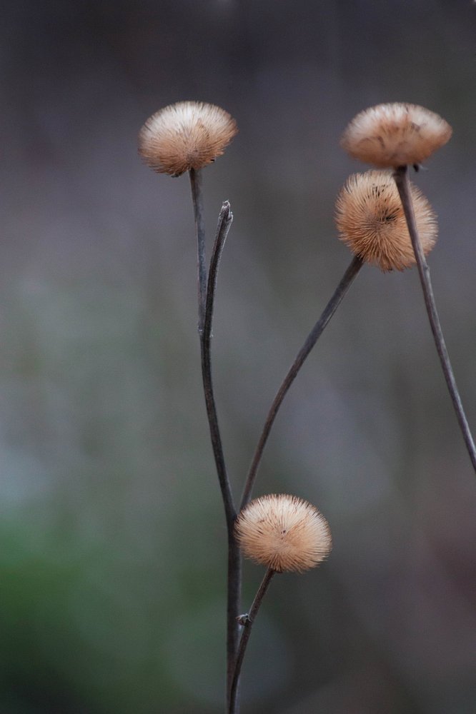 Photograph by Даша Ревинна