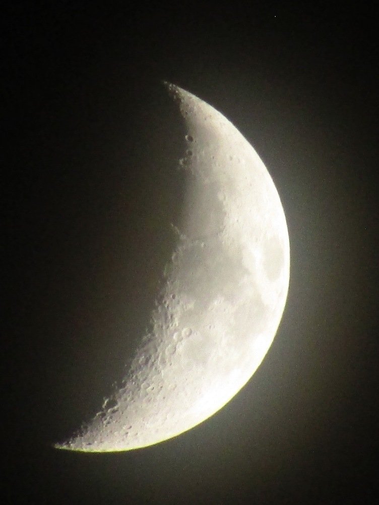Photo #4555234
