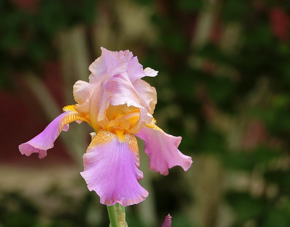 Photograph by Светлана Васильева