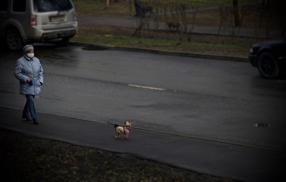Жизнь на поводке