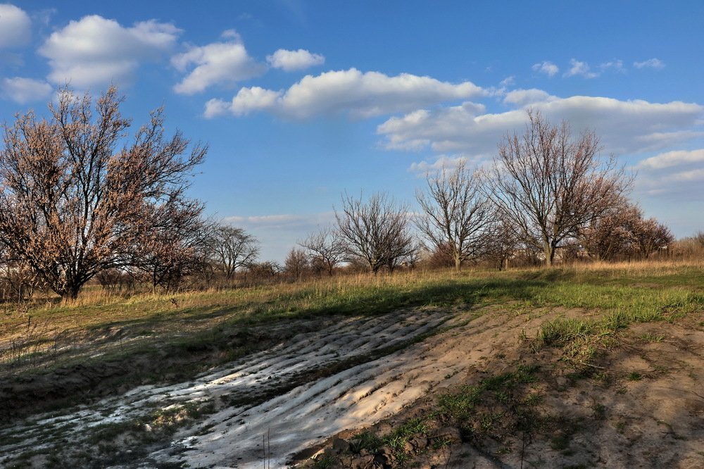 Photograph by Владимир Подкуйко