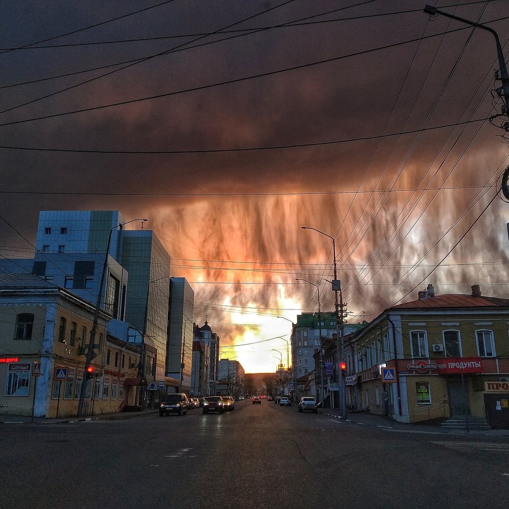 Photo #4555477
