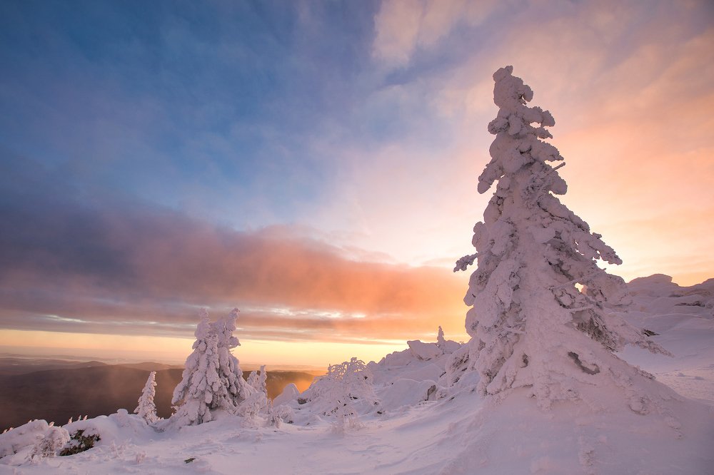 Photograph by Владимир Кочкин