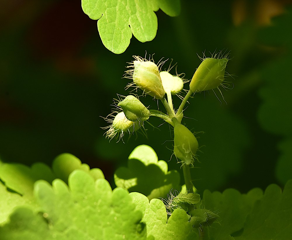 Photograph by Marina Weiland