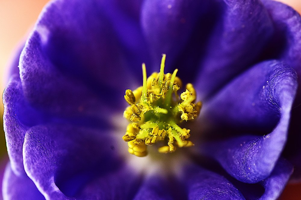 Photograph by Marina Weiland