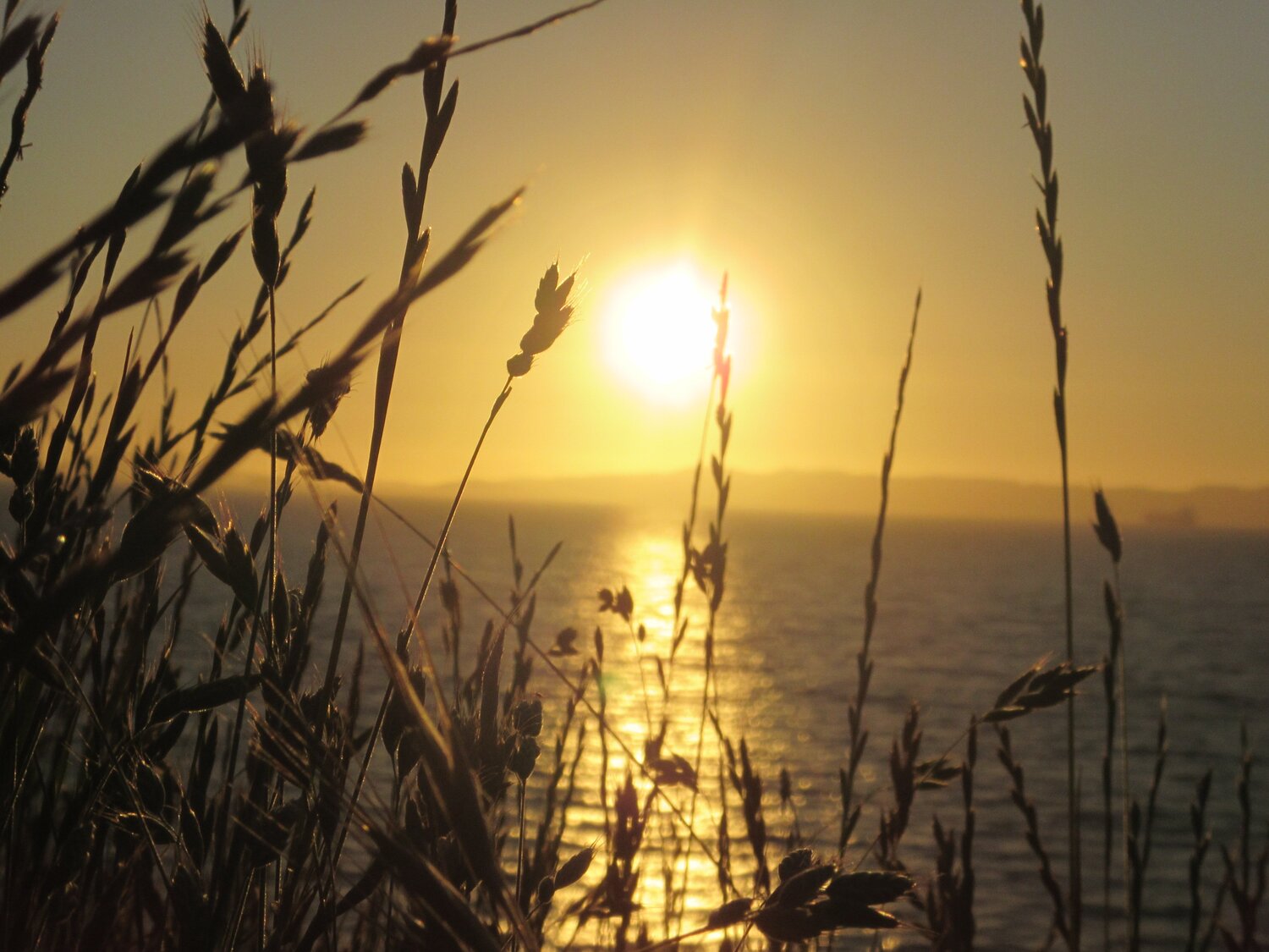Photo #4555731
