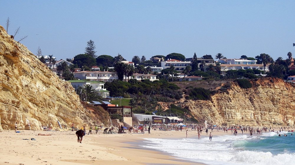 Фотография автора Nicolò Lagona