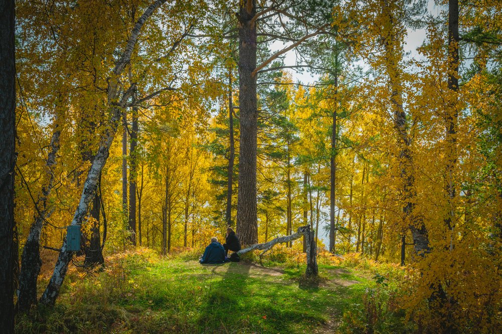 Фотография автора RW