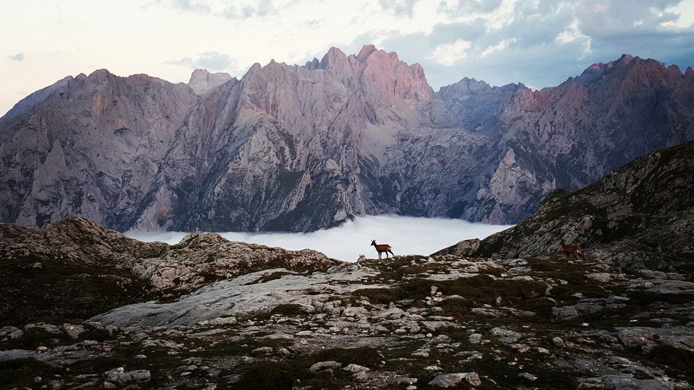 Photograph by Miguel Angel Salvatierra Remesal