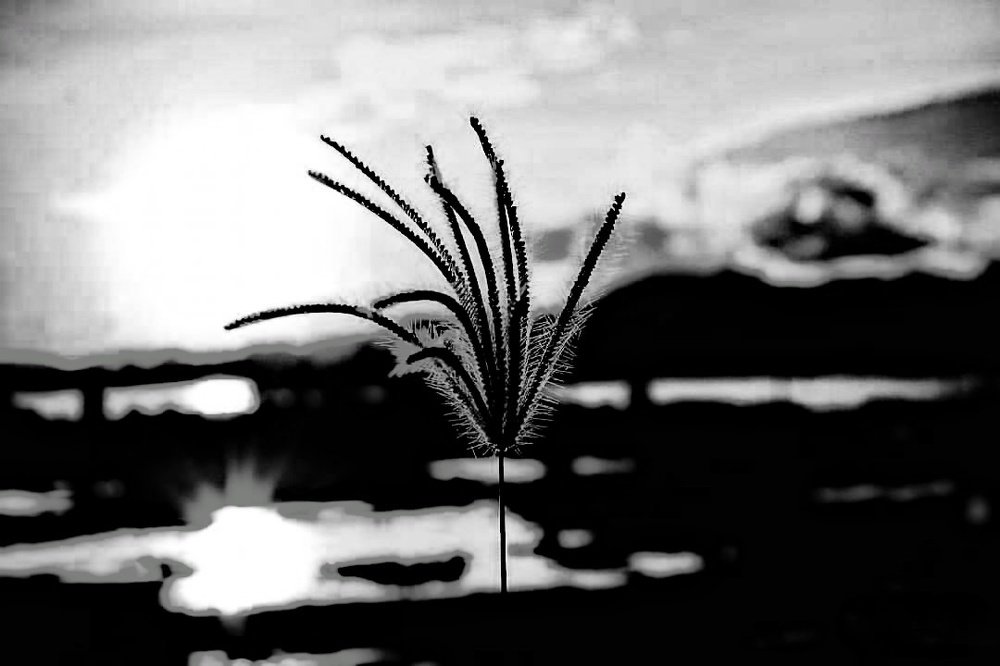 Фотография автора RAJENDRAN VINISHA