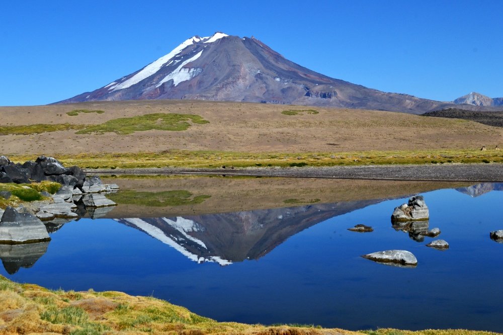 Photograph by Omar Navas