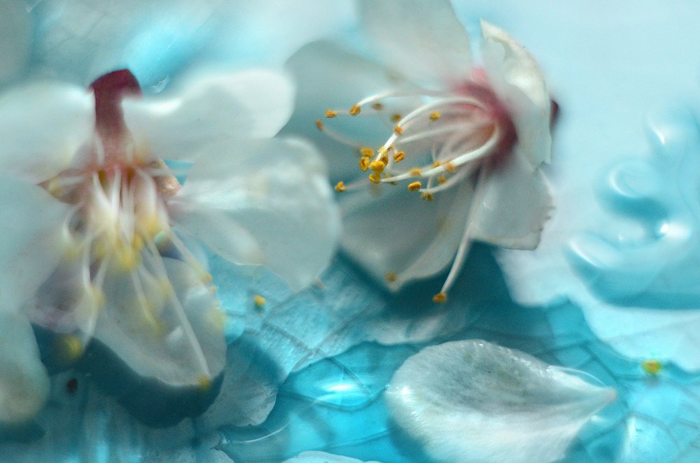 Photograph by Ирина Малютова