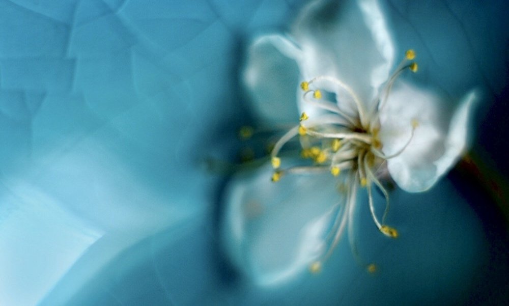 Photograph by Ирина Малютова