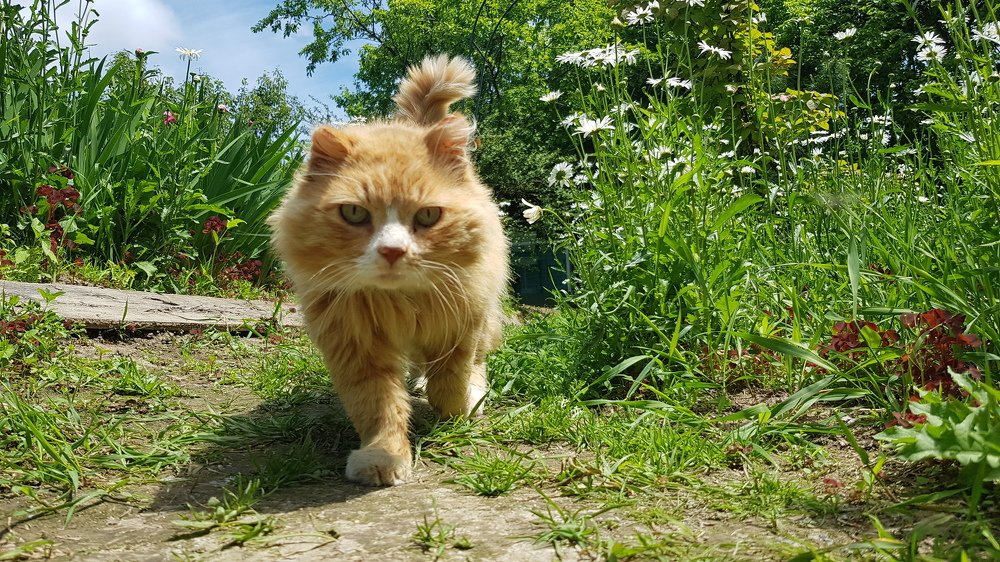 Photograph by Алексей Миронов