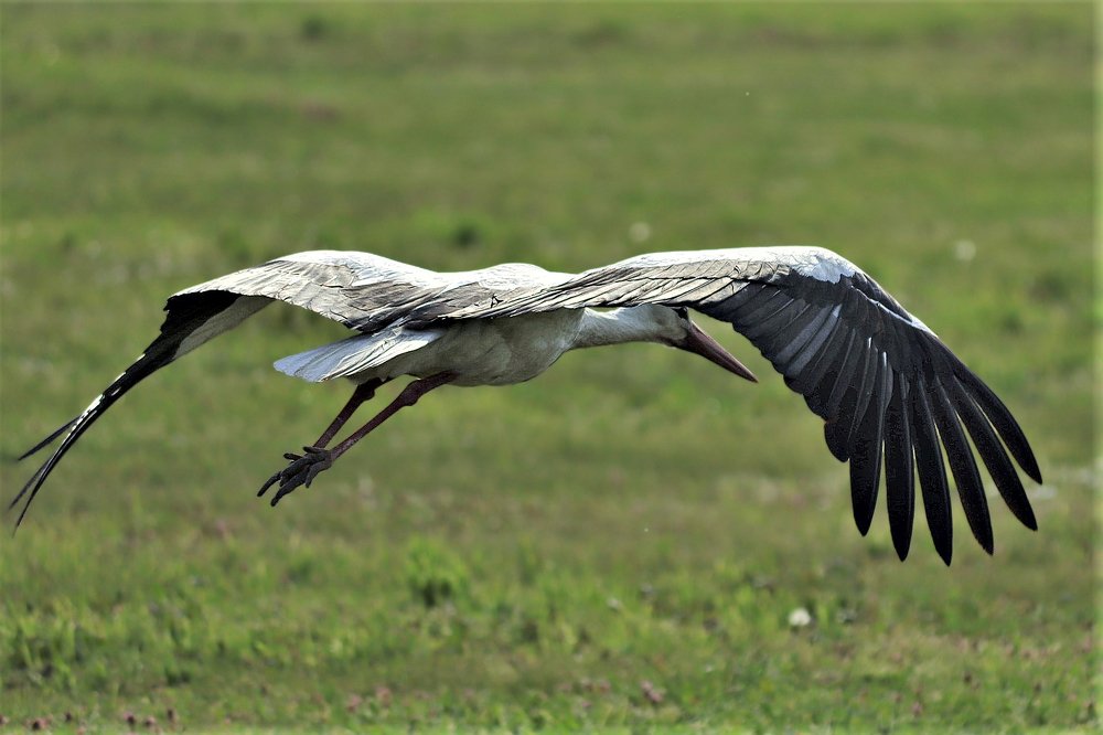 Фотография автора Tomislav Mihelic
