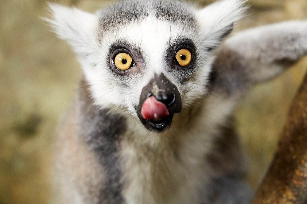 Photograph by Елена Мормоль