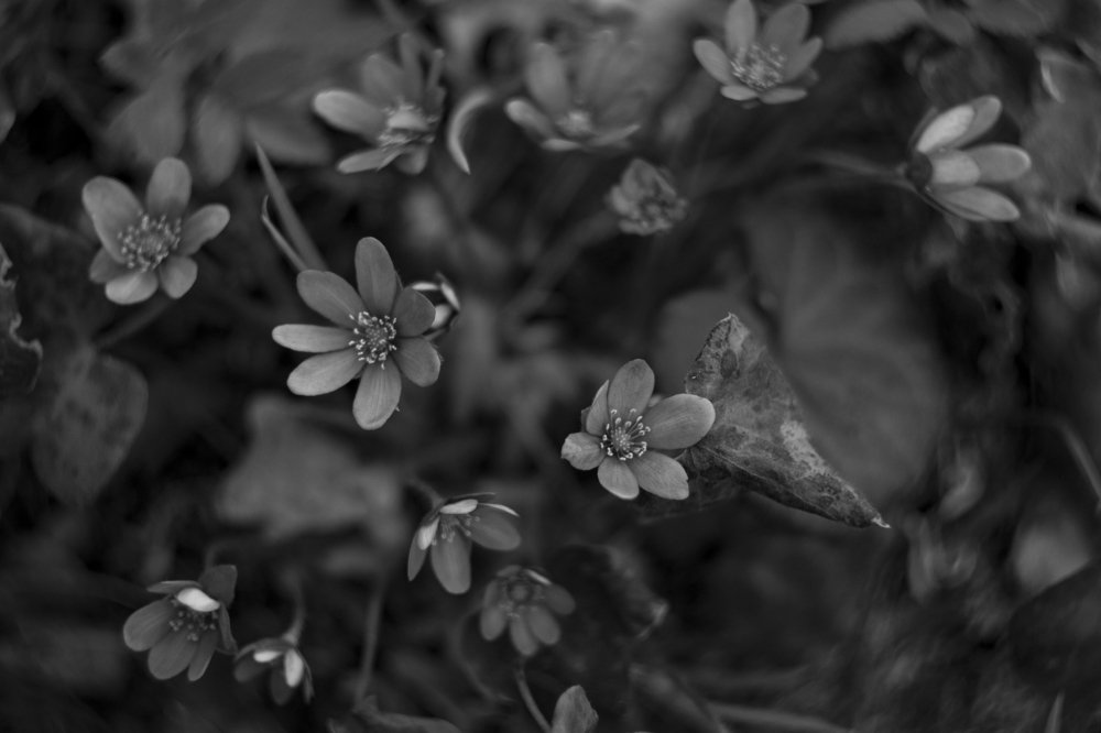Photograph by Дмитрий Русалкин