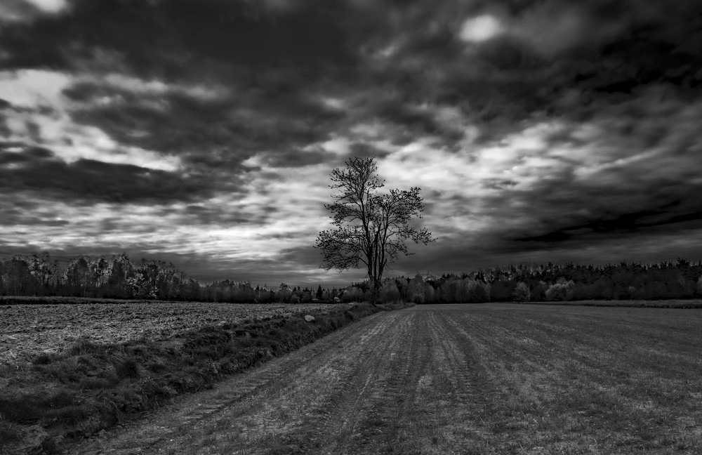 Photograph by Agnieszka Szadowiak