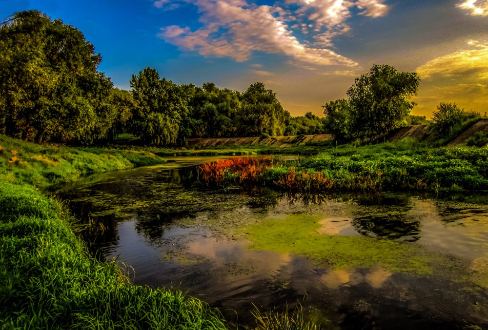 Photograph by Ирина Федорова