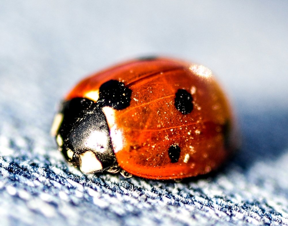 Photograph by Дмитрий Балатский