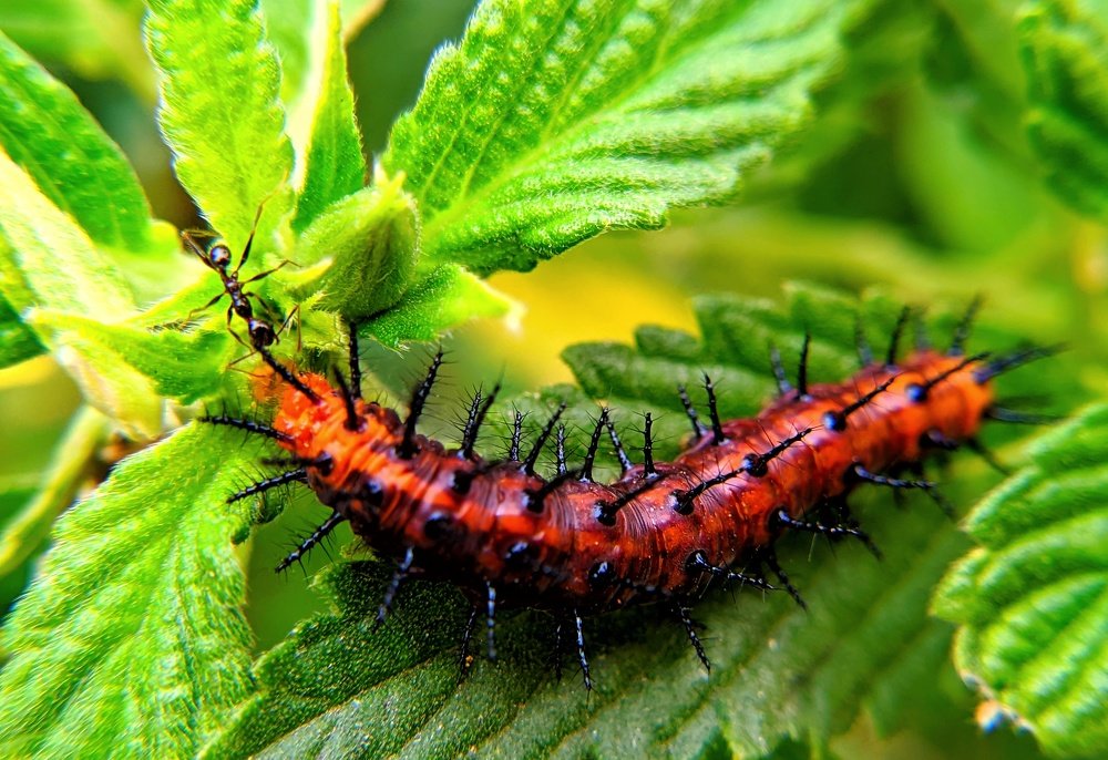 Photograph by Rajinikanth S