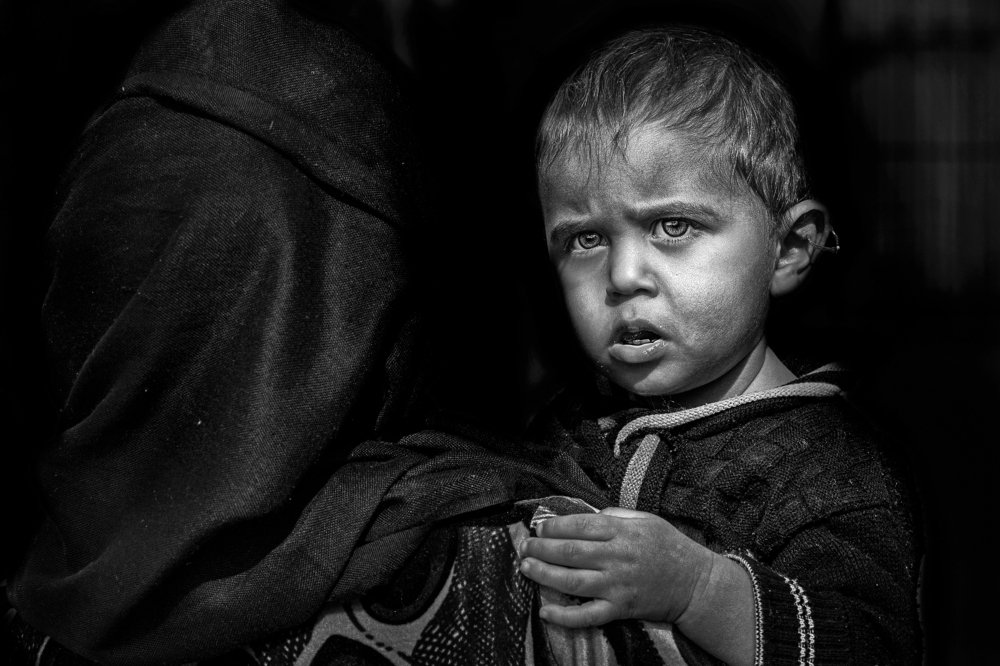 Фотография автора FATIH GONUL