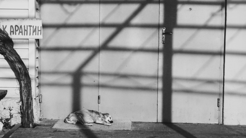 Photograph by Сергей Дубровский