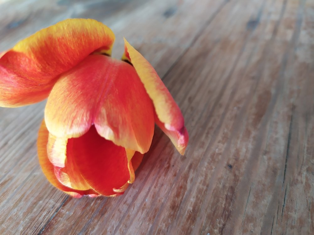 Photograph by Марина