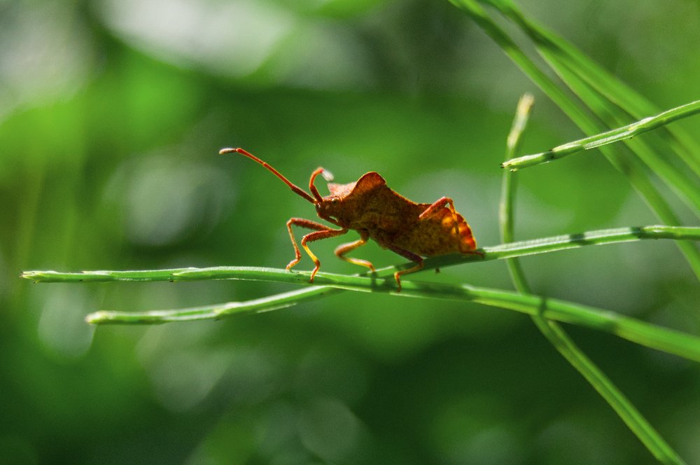 Photograph by Татьяна Юдина